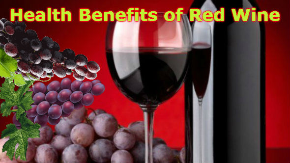 A bottle and a glass of red wine, wine grapes on a table.